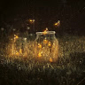 Meet your Posher, Dajah